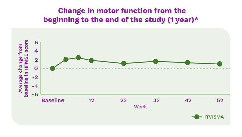 Change in motor function from the beginning to the end of the study (1 year)*. Average change from baseline in HFMSE score.