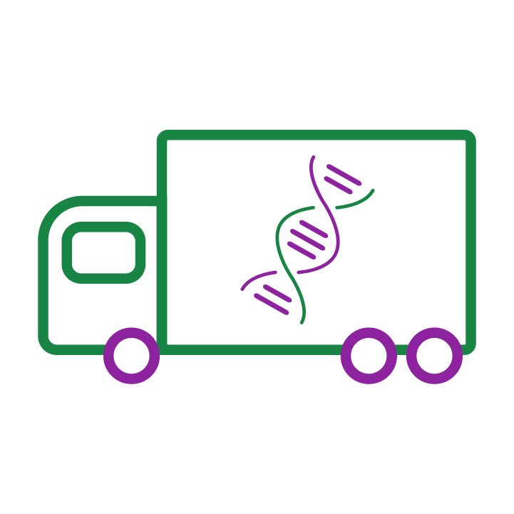 Icon of truck carrying an SMN1 gene
