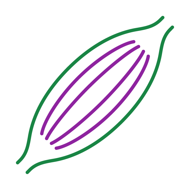 Icon of a muscle